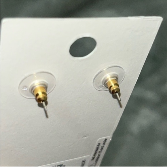 ❣️Express Earrings - Picture 5 of 5